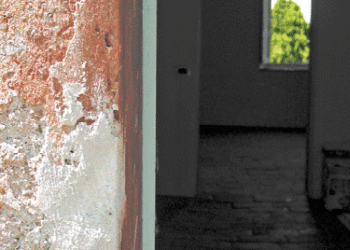 Joyce Lyon’s artworks explore time and place