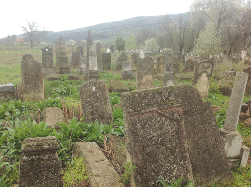 Tombstones in the Jewish cemetery in Husi, Romania, which dates back to the 15th century or later, were broken and laden with moss. (Photos: Courtesy of Michael Appleman)