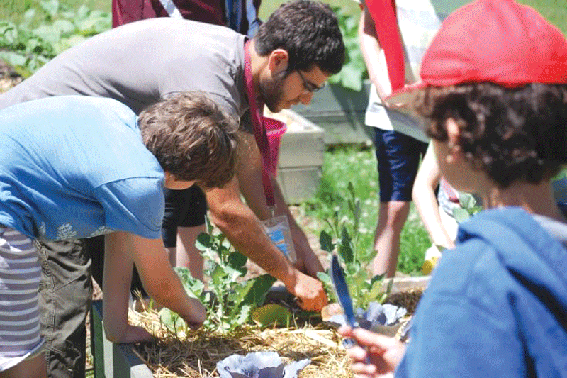 Makai Dorfman works with kids in the Sabes JCC's community garden.
