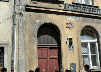 Exploring Polonia for a new generation