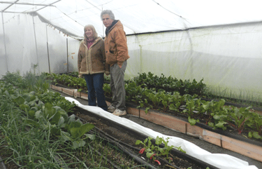 Sam Kedem and his wife, Rachel, operate Sam Kedem Nursery and Garden, south of Hastings, which was certified organic in 2006. (Photo: Robin Doroshow)