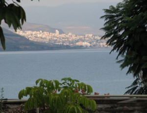 On the northern segment of the Israel @ 60 Mission, participants stayed at the lovely Kibbutz Ma'agan resort on the shore of Lake Kinneret (Sea of Galilee).