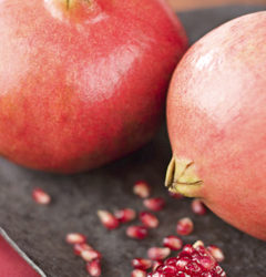 A sweet tradition in the American Jewish World