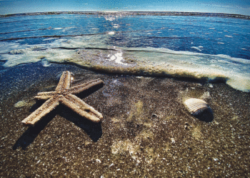 Keren Or calls on Minnesota Jewish teen writers and photographers