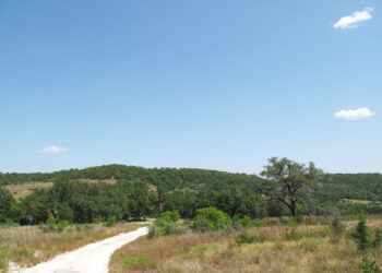 Texas official to teachers: State law requires teaching ‘opposing’ views on the Holocaust