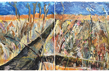 Shmita Project showcases varied arts