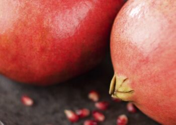 Our Rosh Hashana special edition