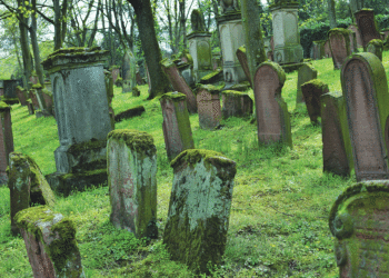 Tracing family roots in Germany