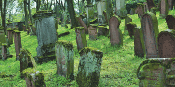 Tracing family roots in Germany