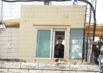 Letter to my Israeli children
