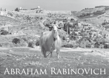 Jerusalem stories transport the reader