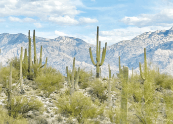 Editorial: Arizona vacation during wartime