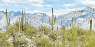 Editorial: Arizona vacation during wartime