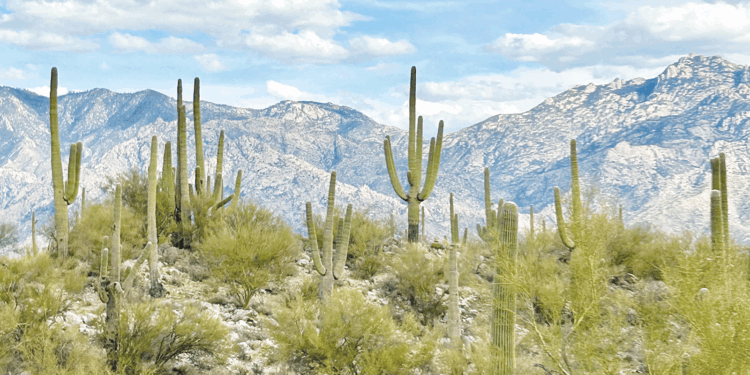 Editorial: Arizona vacation during wartime