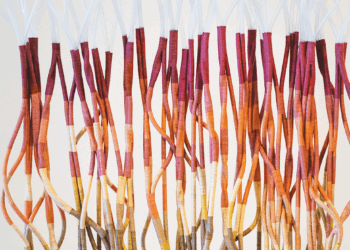 Tali Weinberg’s artworks stretch the definition of marine art
