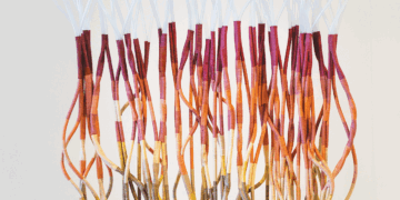 Tali Weinberg’s artworks stretch the definition of marine art