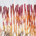 Tali Weinberg’s artworks stretch the definition of marine art